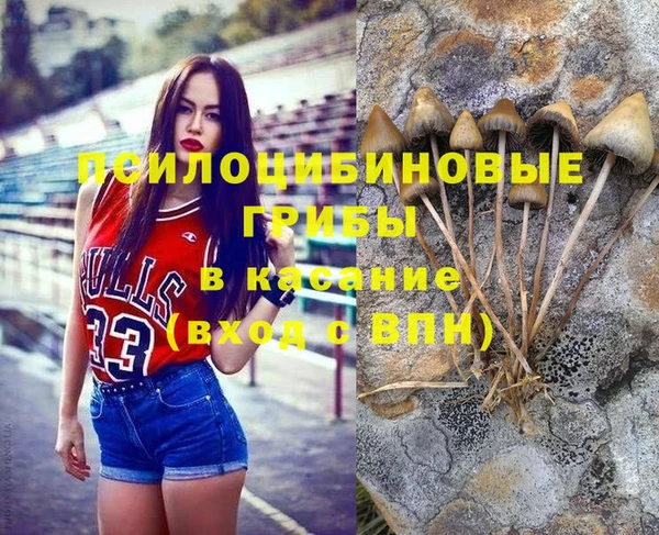 меф Осинники