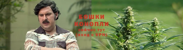 прущие крисы Арсеньев